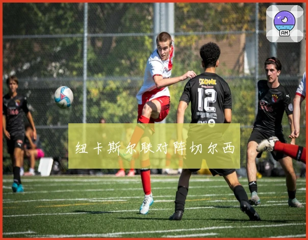 纽卡斯尔联对阵切尔西