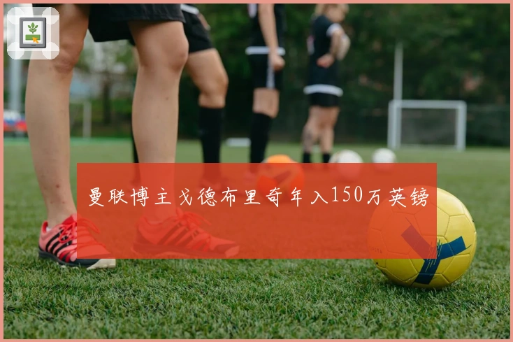 曼联博主戈德布里奇年入150万英镑