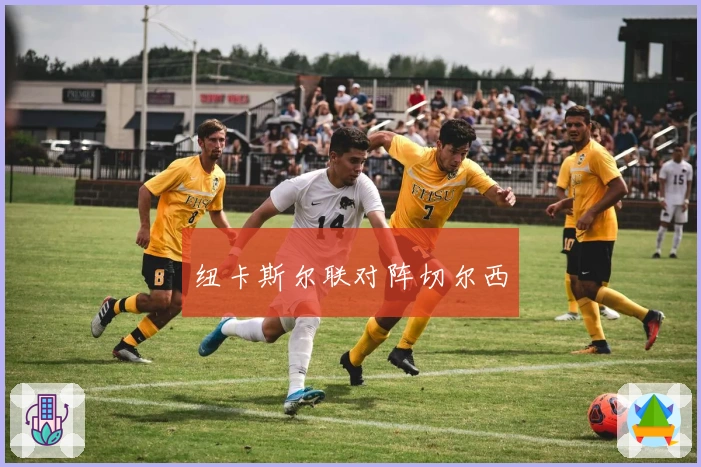 纽卡斯尔联对阵切尔西